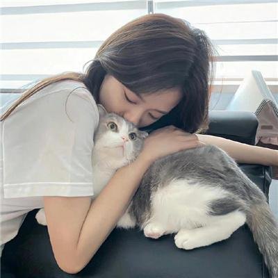 绅士爱美人